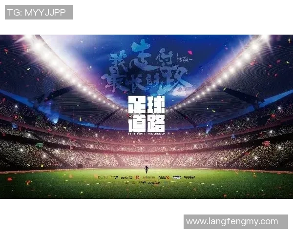 南京网球队实力揭秘：网球巨献背后的奋斗与荣耀